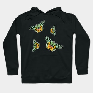 Colorful Butterfly , Cute Light Butterflies Gift Idea Hoodie